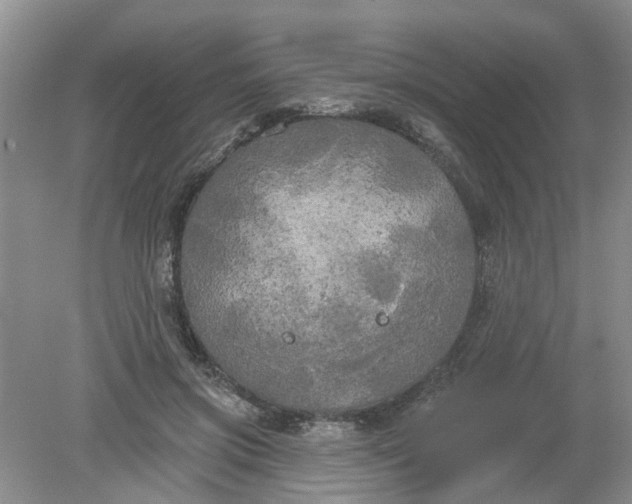 X0000078290549200611172125