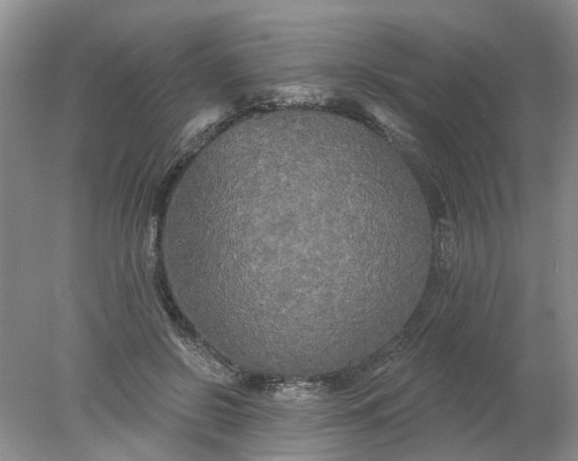 X0000078290550200611172125