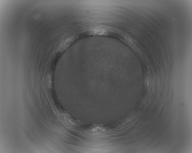 X0000078290551200611172125