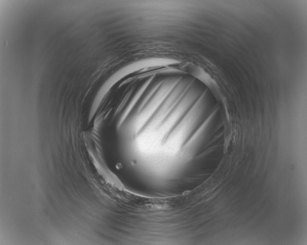 X0000078290552200611172125