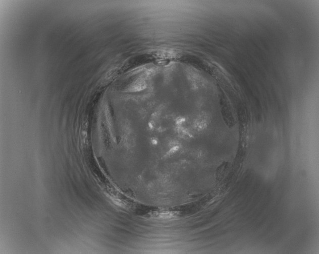 X0000078290553200611172125