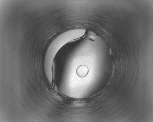 X0000078290556200611172125