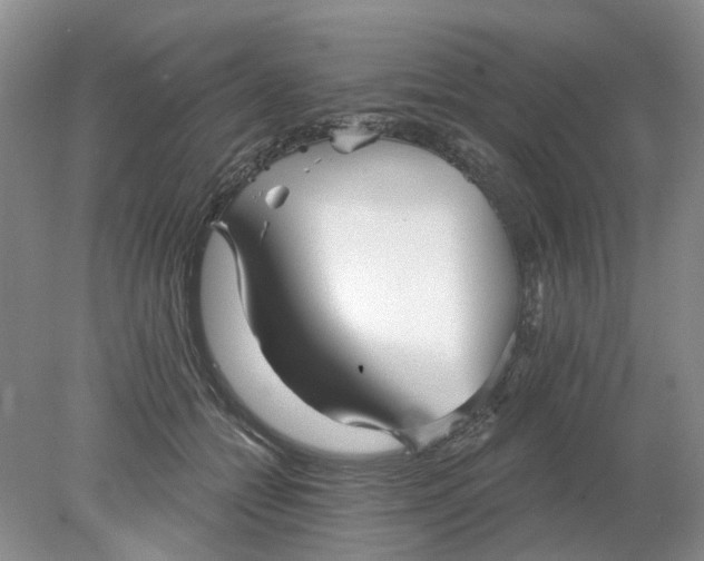 X0000078290558200611172125