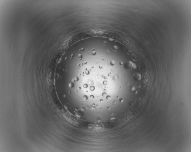 X0000078290559200611172125