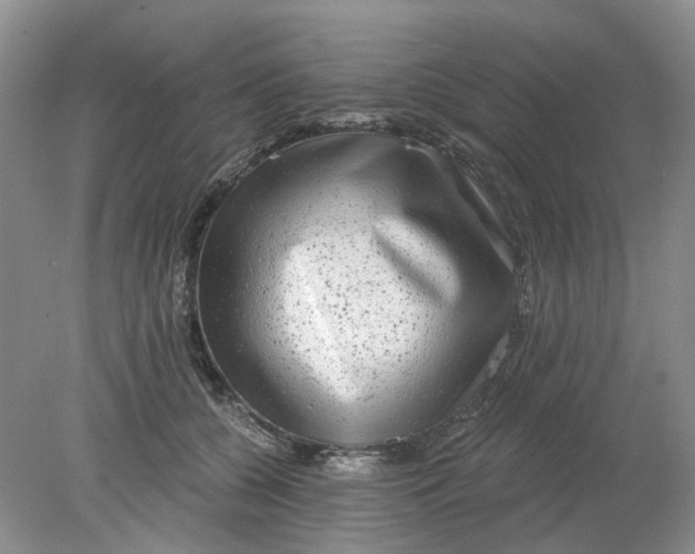 X0000078290560200611172125