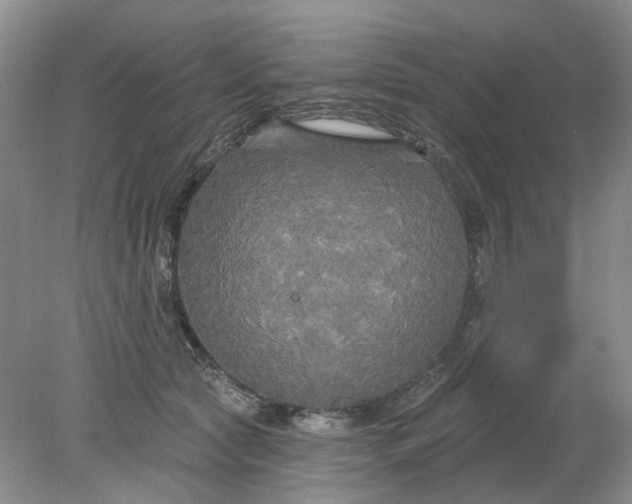 X0000078290561200611172125