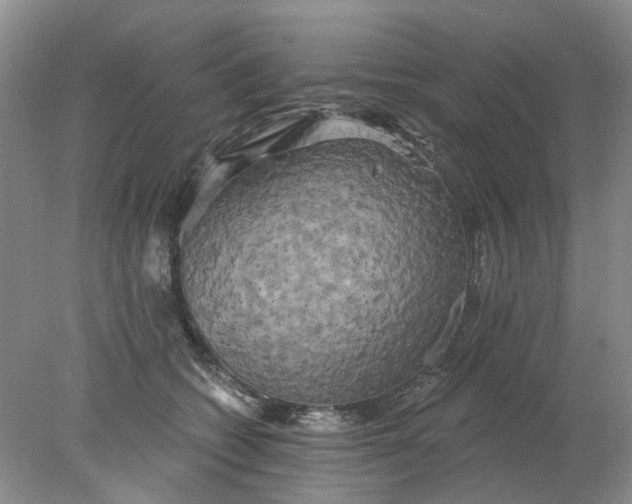 X0000078290562200611172125