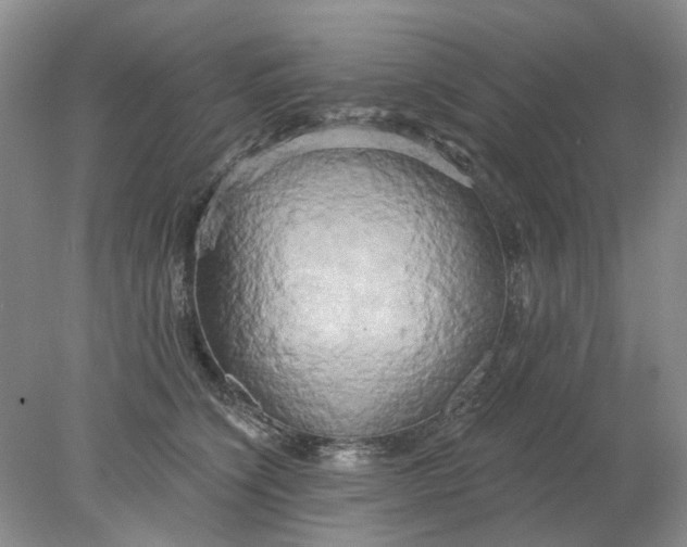 X0000078290564200611172125