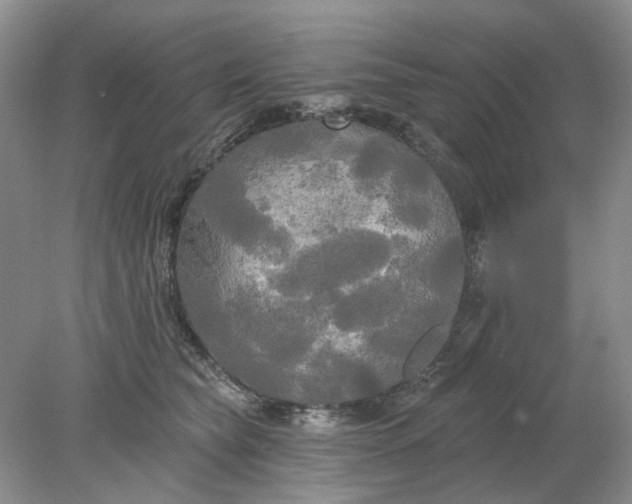 X0000078290565200611172125