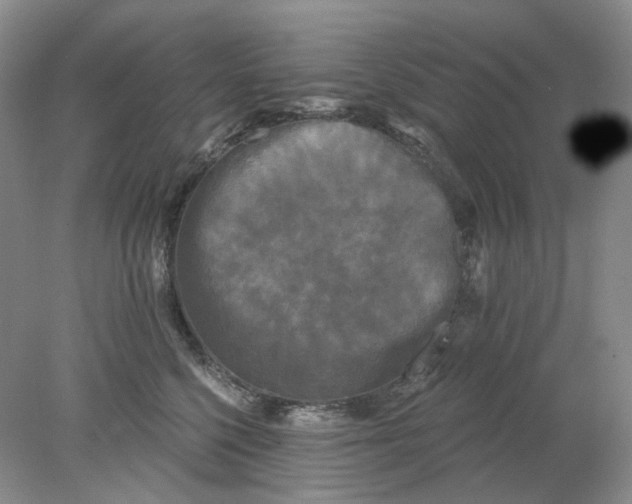 X0000078290568200611172125