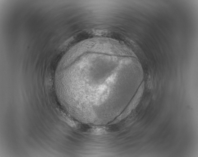 X0000078290569200611172125