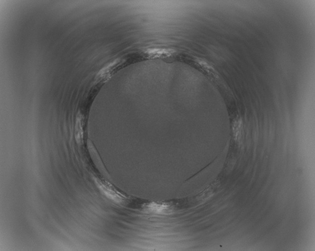 X0000078290570200611172125