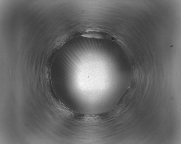 X0000078290571200611172125