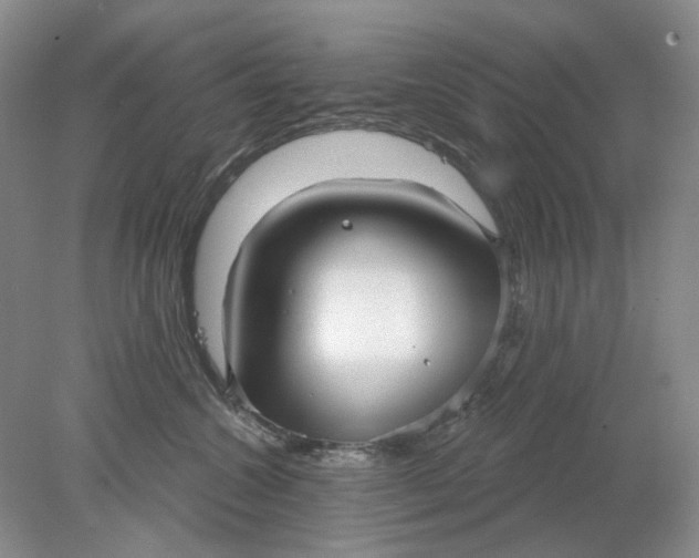 X0000078290572200611172125