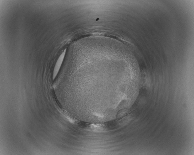 X0000078290573200611172125