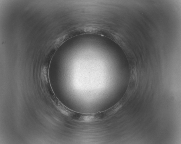 X0000078290575200611172125