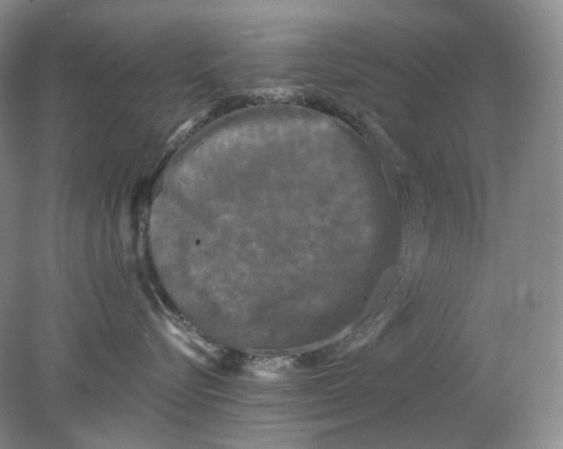 X0000078290576200611172125