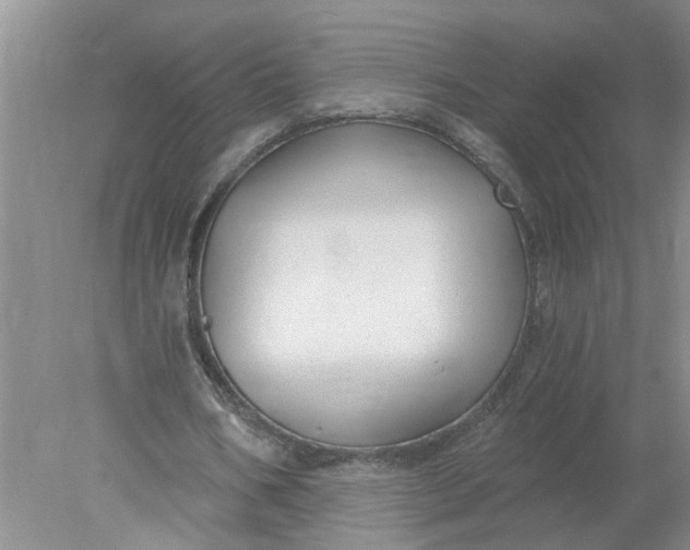 X0000078290578200611172125