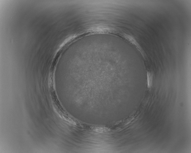 X0000078290579200611172125