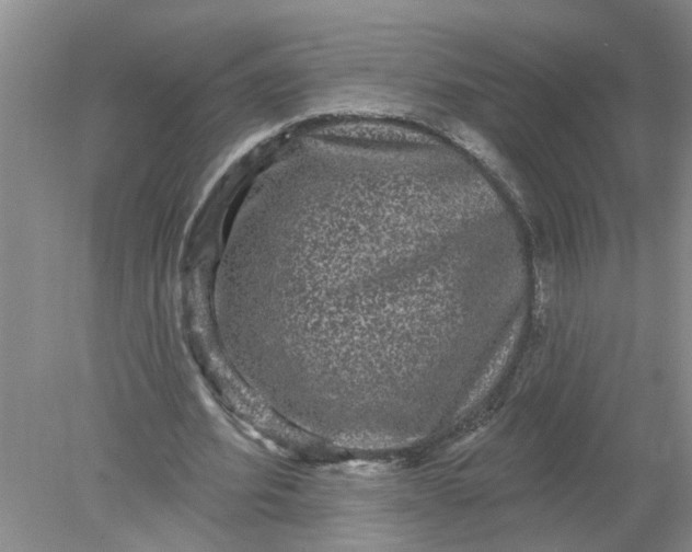 X0000078290580200611172125