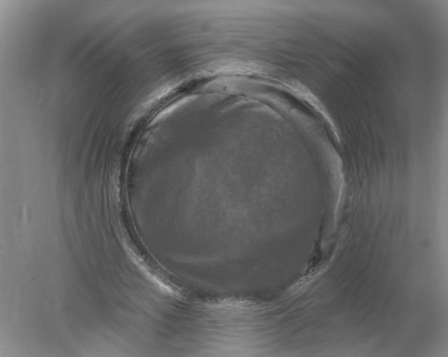 X0000078290581200611172125