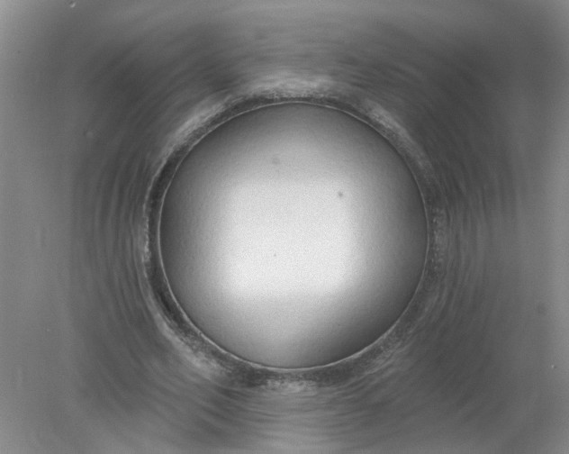 X0000078290582200611172125