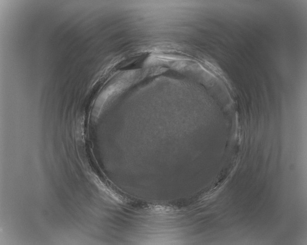 X0000078290585200611172124