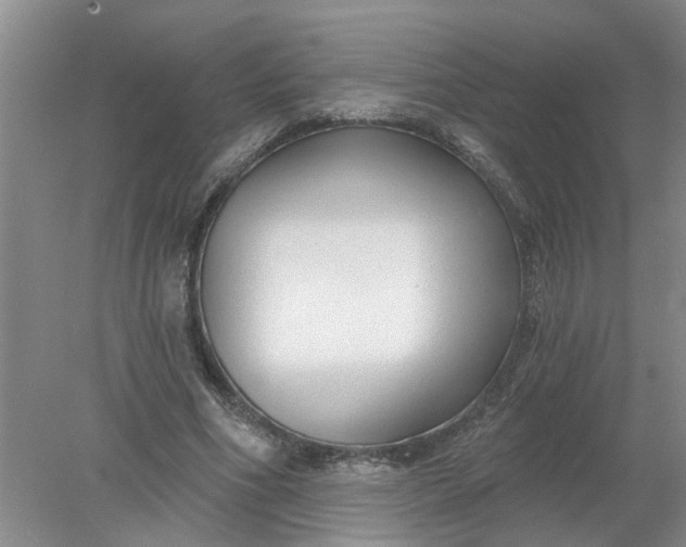 X0000078290586200611172124