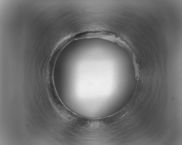 X0000078290587200611172124