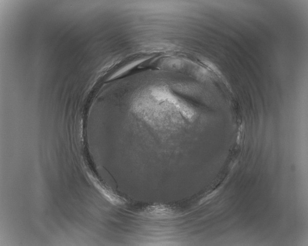 X0000078290589200611172124