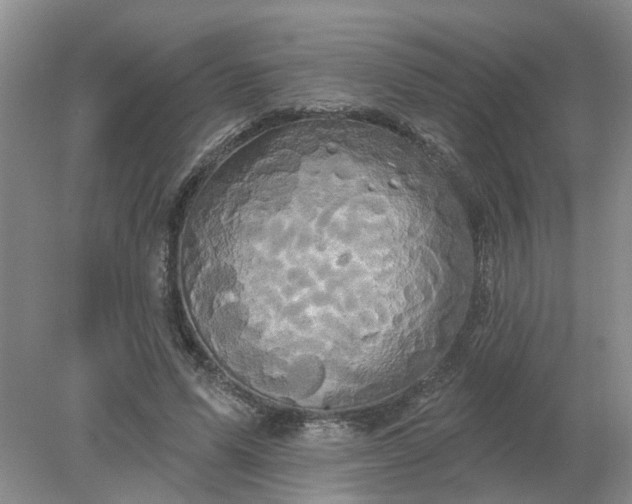 X0000078290591200611172124