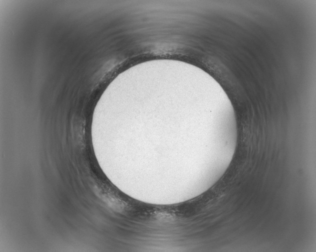 X0000078290592200611172124