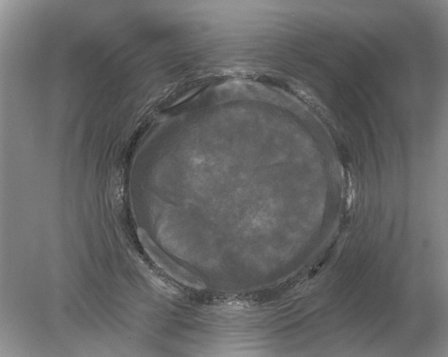 X0000078290593200611172124