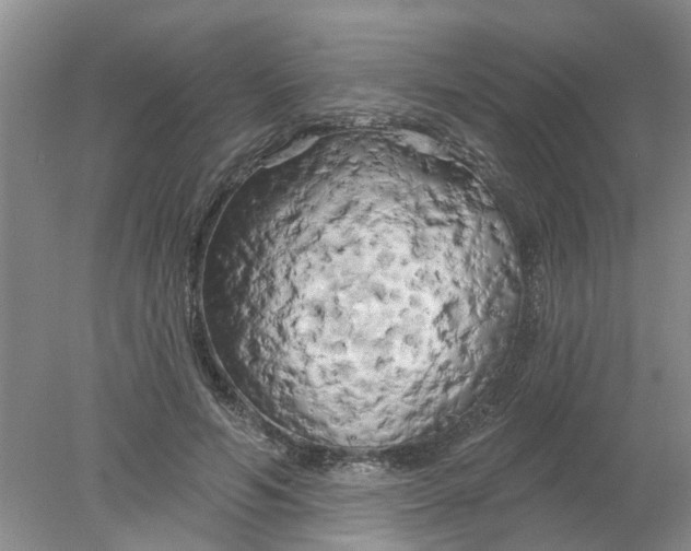 X0000078290594200611172124