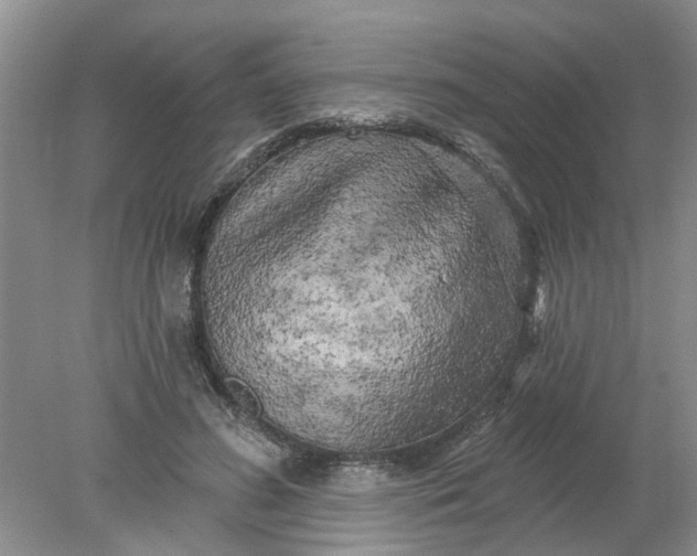 X0000078290596200611172124