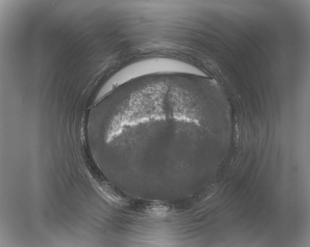 X0000078290598200611172124