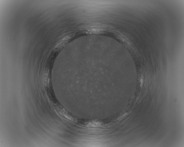 X0000078290599200611172124