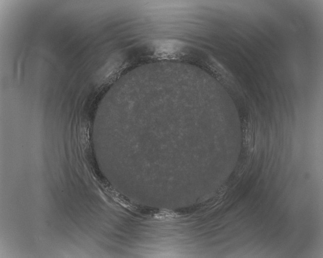 X0000078290603200611172124