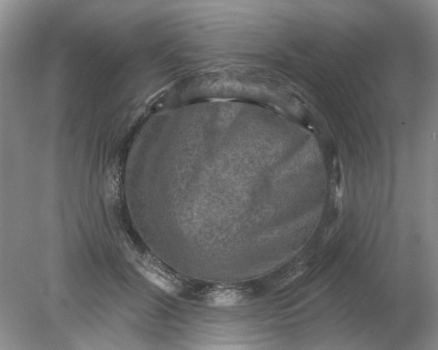 X0000078290604200611172124