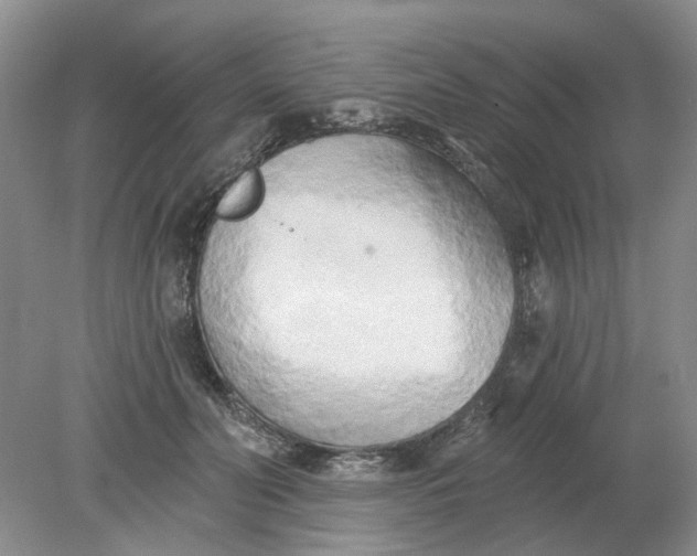 X0000078290606200611172124