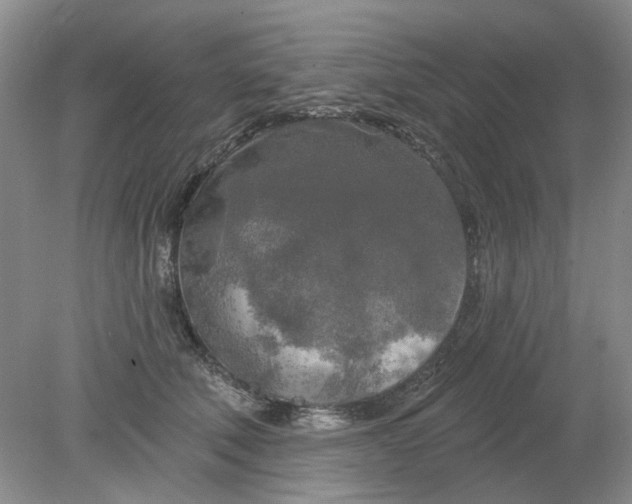 X0000078290610200611172124