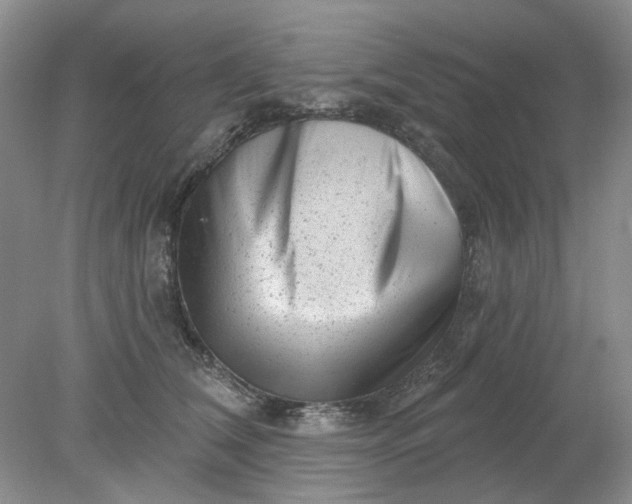 X0000078290612200611172124