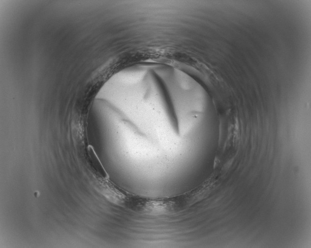 X0000078290613200611172124