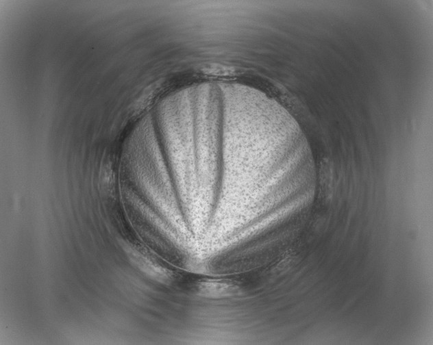 X0000078290614200611172124