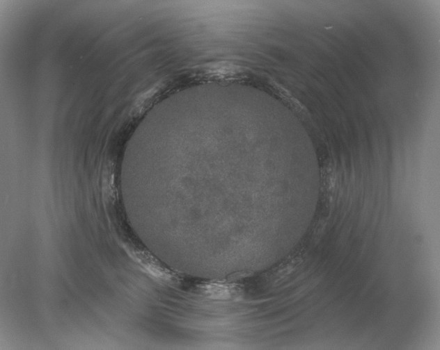 X0000078290615200611172124