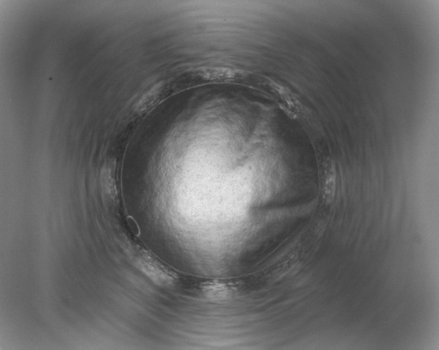 X0000078290616200611172124