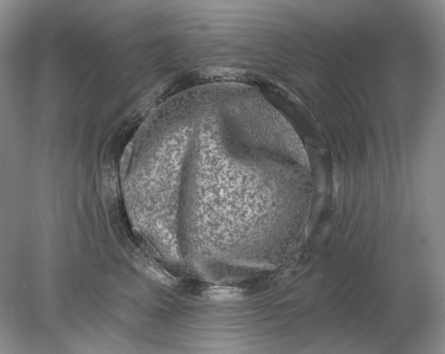 X0000078290617200611172124