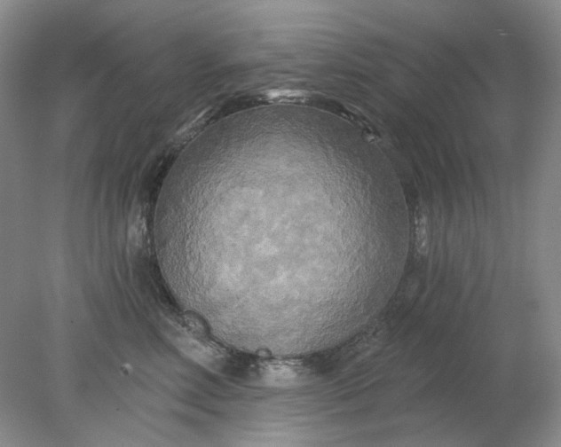 X0000078290618200611172124