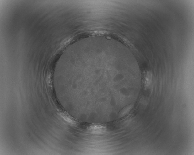 X0000078290619200611172124