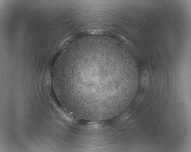 X0000078290620200611172124